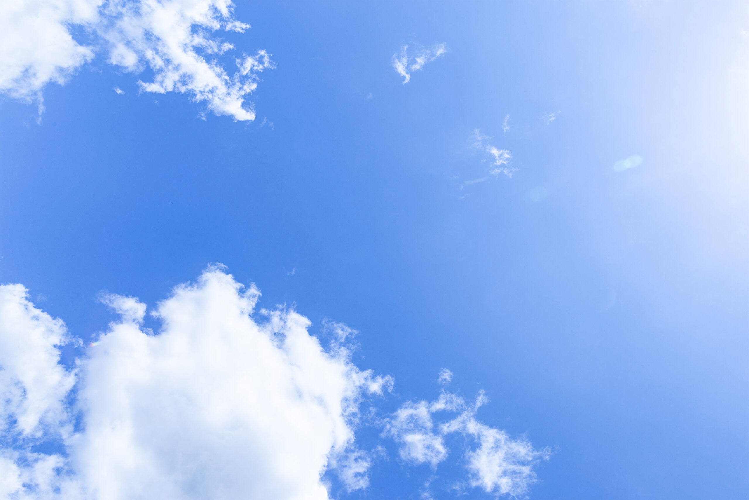 🚀 初心者が知っておきたい！効果的なWebサイトの作り方ガイド