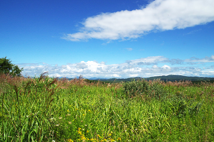 🛡️ أساسيات أمن المعلومات في عصر العمل عن بعد